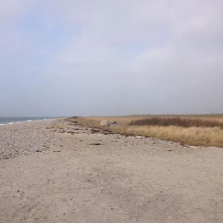 Inselstern Fehmarn